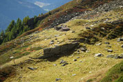 Alpe Sasso Léi 2041 m (Leventina)