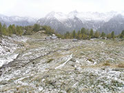 Corte Mognòla 1842 m (Alpe Mognòla / Mogno)