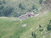 Alp de Calvaresc - (GR) 1837 m