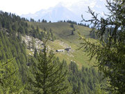 Corte Grande 1730 m (Alpe Sascòla)