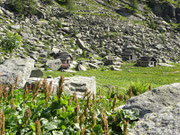 Gradisc 1703 m  - Val Calnègia (Foroglio)