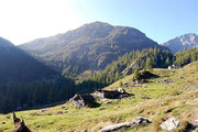 Alpe di Sfii 1666 m - Valle di Campo