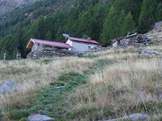 Alpe Forcarid - Claro 1713 m