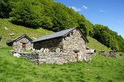 Alpe Càuri 1477 m (Valle d'Iragna)