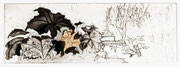 Le Jardin de Prévert - eau forte et contrecollé / 29.50x10.50