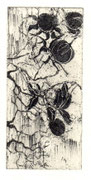 Soleil d'hiver - eau forte / 15.0x7.0