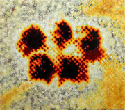 "Die fünf Weisen", 2011, Öl auf Leinwand, 115 x 130 cm