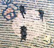 O.T., 1997, Öl auf Leinwand, 114 x 130 cm