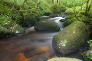 Dartmoor (c) Ehrenhuber Stefan