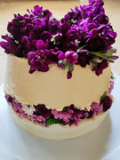 Erdbeer-Rhabarber Torte mit Orangenblüte und Vanille