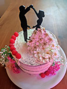 Tanzpartytorte- Schoko-Käsekuchen-Himbeere