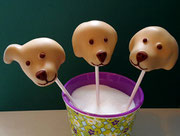 Labrador Cakepops