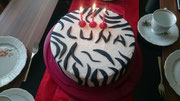 Zebra Torte, zusammen mit meiner Mitbewohnerin Katharina gemacht