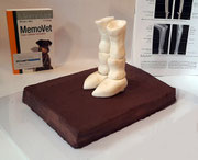 Anatomie Torte