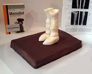Anatomie Torte