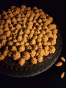 Schoko-Erdnuss Tarte