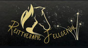 Pferdephysiotherapie Melanie Fleischer 