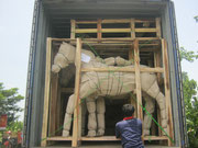 Containerbeladung Yogyakarta root chip horses