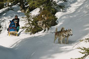 Im zerklüfteten Seefeld nahe Grünenbergpass, Winter 2002. Eines der aufregendsten Gebiete für Schlittehundetouren.  Leider sind die Verantwortlichen des Naturparks Thunersee-Hohgant der Meinung, dass solche Aktivitäten schädlich sind für die Natur.