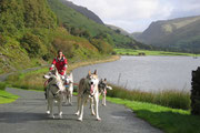 Ein kleines Training an einem hübschen See in Snowdonia, Wales, England