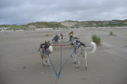Training auf Sand ist einfach fantastisch - und anstrengend