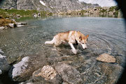 Ein kühlendes Bad im Oberhornsee 2003