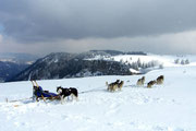 Creux du Van 2006. Von dort, wo man einen Teil der Felswand sieht, ist das nächste Bild gemacht worden