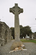 Monasterboice, die Ruine einer Klosteranlage aus dem 10. Jahrhundert nördlich von Dublin. Dieses Kreuz hier ist mit 6.5 Meter Höhe das grösste in Irland