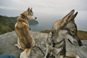 Timber und Arwen auf Sleave League in Donegal, mit 800 Meter über dem Meeresspiegel die höchsten Klippen Irlands