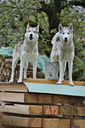 Vater und Sohn