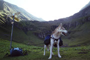 Wildgärst 2000. Mit nur zwei Huskys waren Bergwanderungen ein reines Vergnügen.