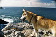 2002: Auf den Klippen von Pen Hir auf der Halbinsel Crozon