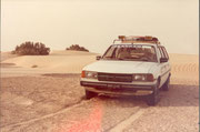 La Peugeot 305 sulle prime dune