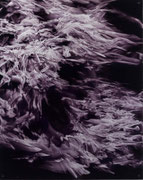 《質量》油彩、アルミニウム板　91.0×72.7㎝「融点」(JINEN GALLERY、東京)