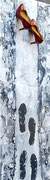 Acryl Mischtechnik auf Holzplatte 150cm x 50cm stehend - © KunstMomente Christine Dablander