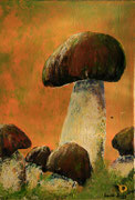Pilze  III     40x50cm , B 131