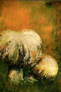 Pilze  II     40x50cm , B 130