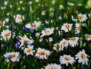 "ohne titel" , 80x60 cm , B202