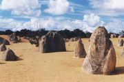 In den Pinnacles (Nambung NP)