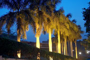 Palmen an der Zufahrt zum Hotel Mena House Oberoi in Kairo