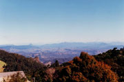 Teilansicht des Blue Mountains NP in New South Wales, westlich von Sydney gelegen
