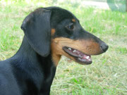 Penny: il suo profilo