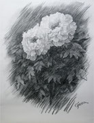 木炭デッサン 牡丹