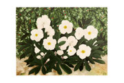 Hellebores ou roses de Noël, fleurs de porcelaines, Acryl sur toile, 60X45