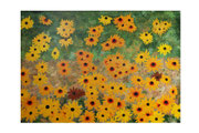 Rudbeckias, fleurs ensoleillées et joyeuses, Acryl sur toile, 80X66