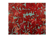 Vigne vierge (Acrylique sur toile - 60 x 72 )