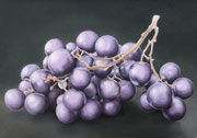 Trauben, 50 x 70 cm, Ölfarbe u. Eitempera a. LW