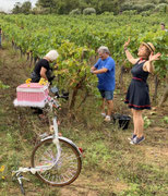 La monocyclette dans les vignes