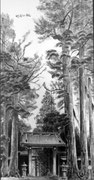 後藤一夫（梁才）　入会　平成２０年４月日光東照宮に初めて旅行に行きました。自然の地形を生かした参道や荘厳な社殿群、樹齢８００年とも言われる日光杉に圧倒されました。その中で、親子杉が印象に残り描いてみました。