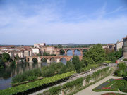 Albi